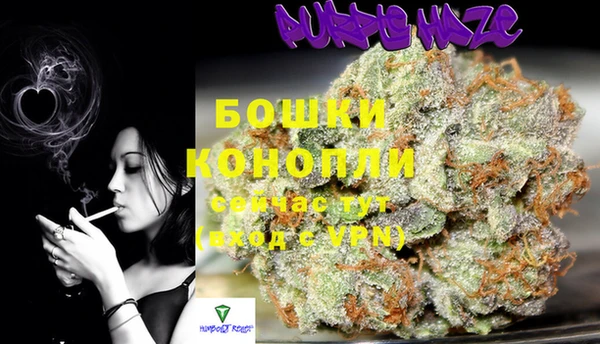 ПСИЛОЦИБИНОВЫЕ ГРИБЫ Армянск