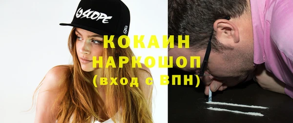 ГАЛЛЮЦИНОГЕННЫЕ ГРИБЫ Аркадак