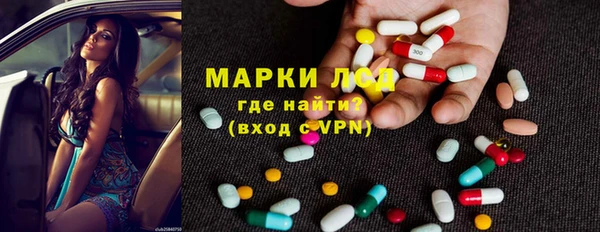 ГАЛЛЮЦИНОГЕННЫЕ ГРИБЫ Аркадак