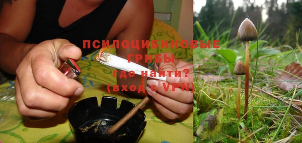 ПСИЛОЦИБИНОВЫЕ ГРИБЫ Армянск