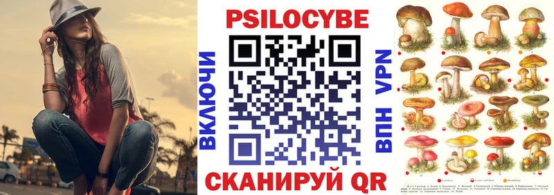 Галлюциногенные грибы Psilocybine cubensis  Усть-Джегута 