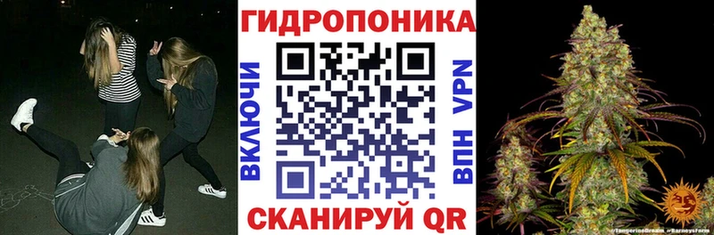 shop состав  дарнет шоп  Усть-Джегута  Канабис планчик 